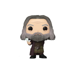FUNKO POP! - HARRY POTTER - ABERFORTH DUMBLEDORE